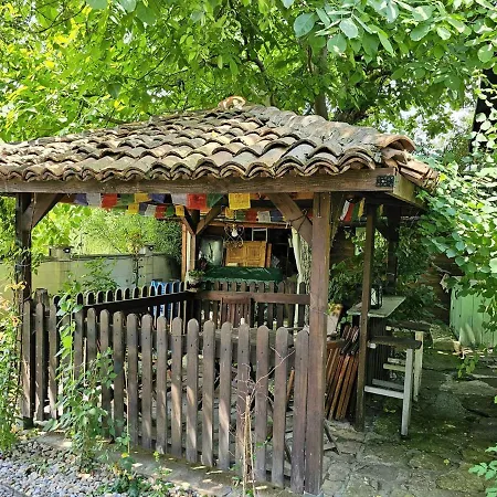 Prázdninový dům India - Bibliothek