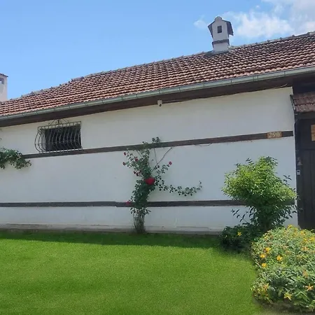 India - Bibliothek Ledenik