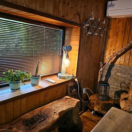 Prázdninový dům India - Bibliothek