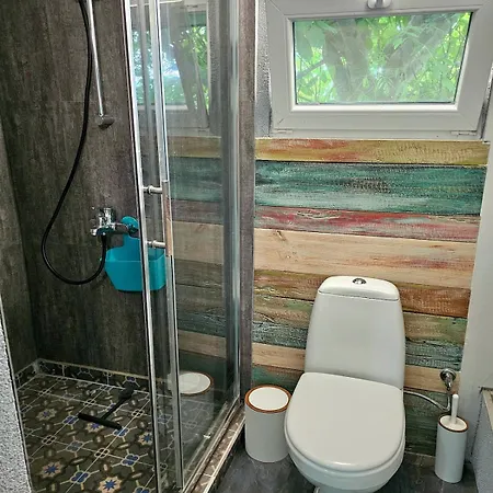 India - Bibliothek Ledenik