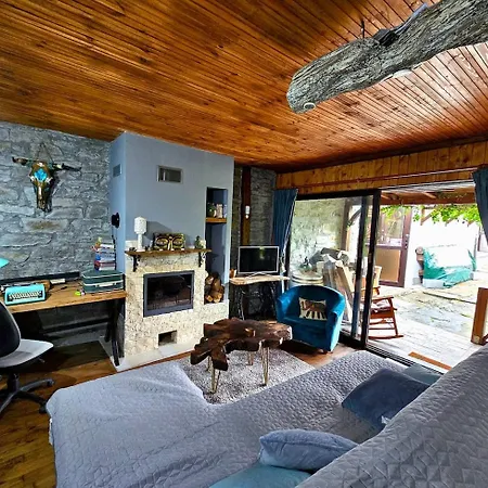 India - Bibliothek * Ledenik