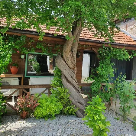 India - Bibliothek Prázdninový dům *