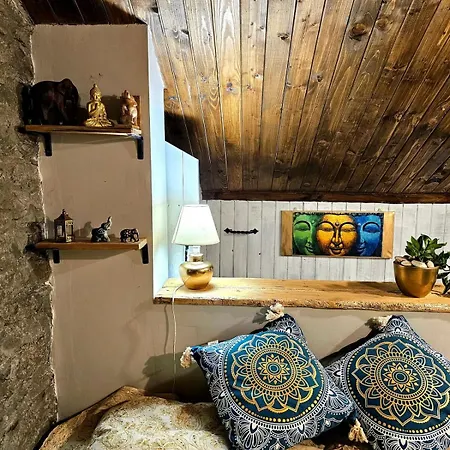 India - Bibliothek * Ledenik