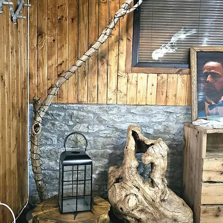 India - Bibliothek * Ledenik