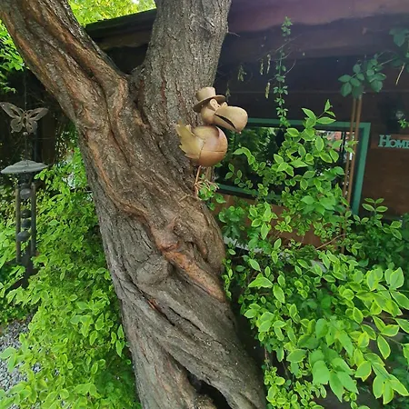 India - Bibliothek Prázdninový dům