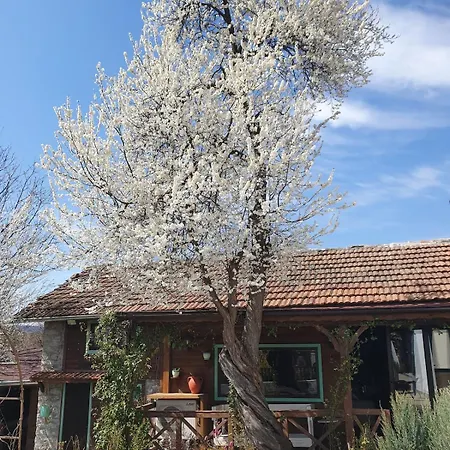 펜션 India - Bibliothek Ledenik