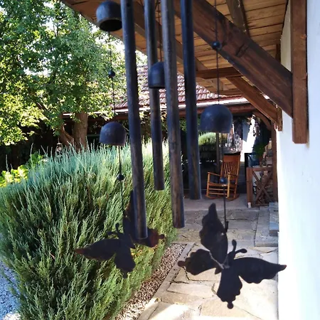 Tatil Evi India - Bibliothek