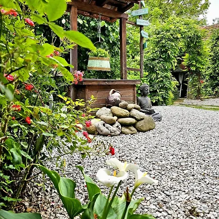 India - Bibliothek *