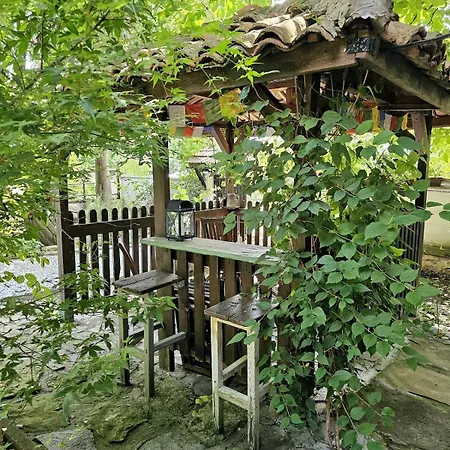 Prázdninový dům India - Bibliothek