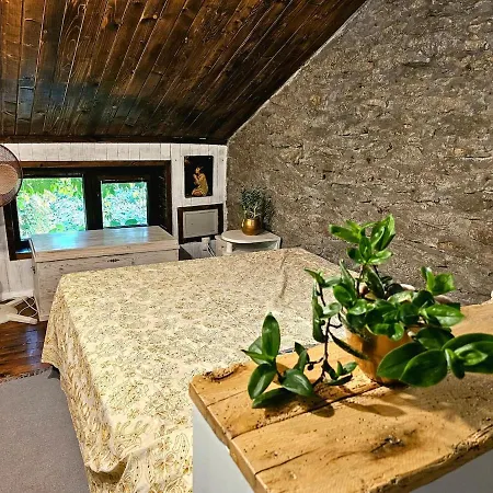 펜션 India - Bibliothek