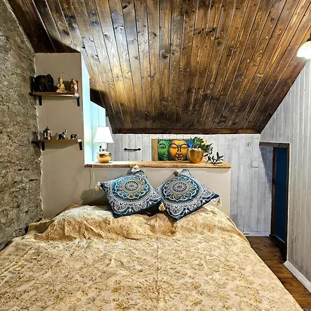 펜션 India - Bibliothek Ledenik