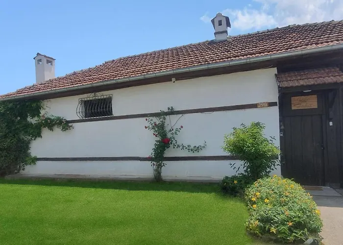 India - Bibliothek Ledenik