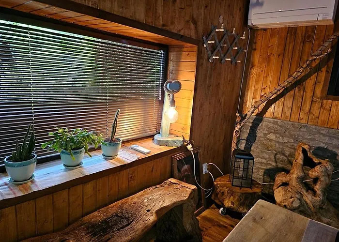 度假居 India - Bibliothek