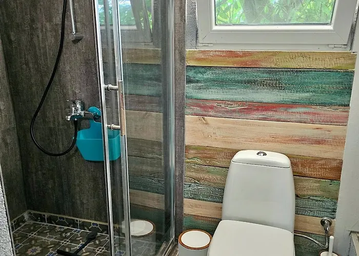 India - Bibliothek Ledenik