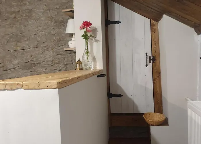 India - Bibliothek 度假居