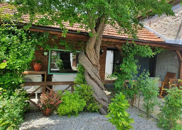 India - Bibliothek 度假居 *