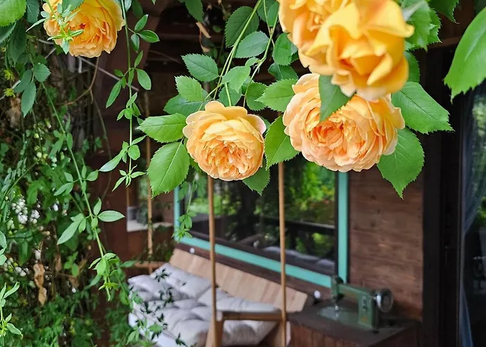 度假居 India - Bibliothek