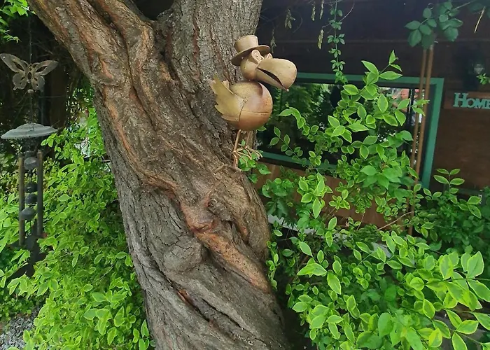 India - Bibliothek 度假居