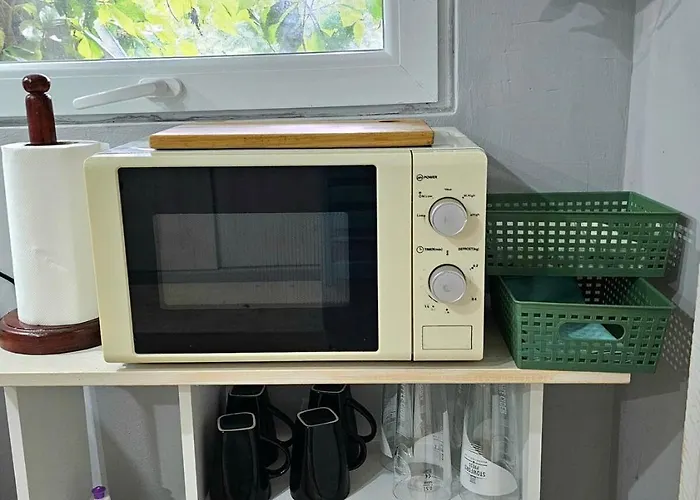 India - Bibliothek * Ledenik