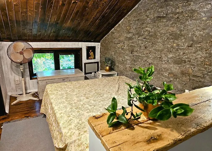 度假居 India - Bibliothek